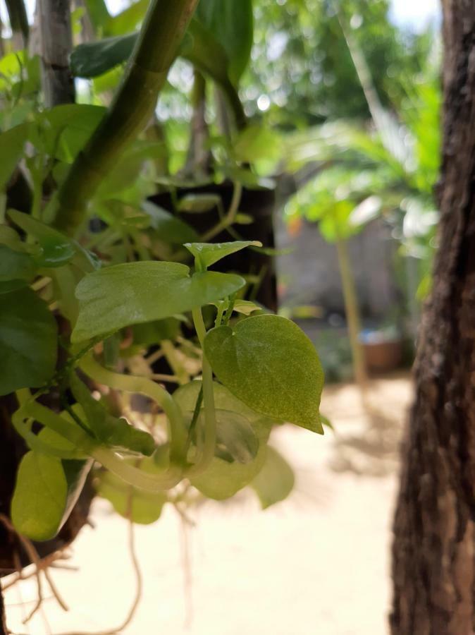 Apartmán Connect Phan Thiết Exteriér fotografie