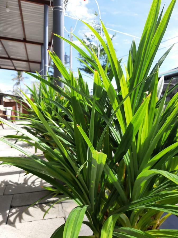 Apartmán Connect Phan Thiết Exteriér fotografie